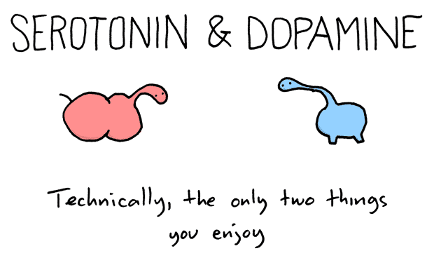 serotonin-and-dopamine.gif